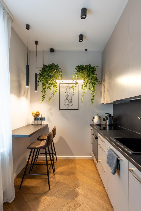 Old Town Apartment L Self Check In ヴィリニュス エクステリア 写真